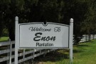 01 Welcome To Plantation